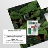 Papel pintado adhesivo de diseño naturaleza selva Hoja de Banano Negra Stock