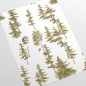 Papel tapiz adhesivo bosque para sala de estar y entrada Pini Verdi Rebajas