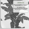 Papel pintado urban jungle plantas blanco y gris Palmas Exóticas Oferta