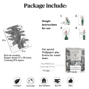 Papel pintado urban jungle plantas blanco y gris Palmas Exóticas Descueto