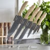 Set de 5 cuchillos de acero inoxidable con bloque transparente Pierre Gourmet Oferta