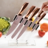 Set de 5 cuchillos de acero inoxidable con bloque transparente Bisetti Stonerose Venta