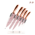 Set de 5 cuchillos de acero inoxidable con bloque transparente Bisetti Stonerose Promoción