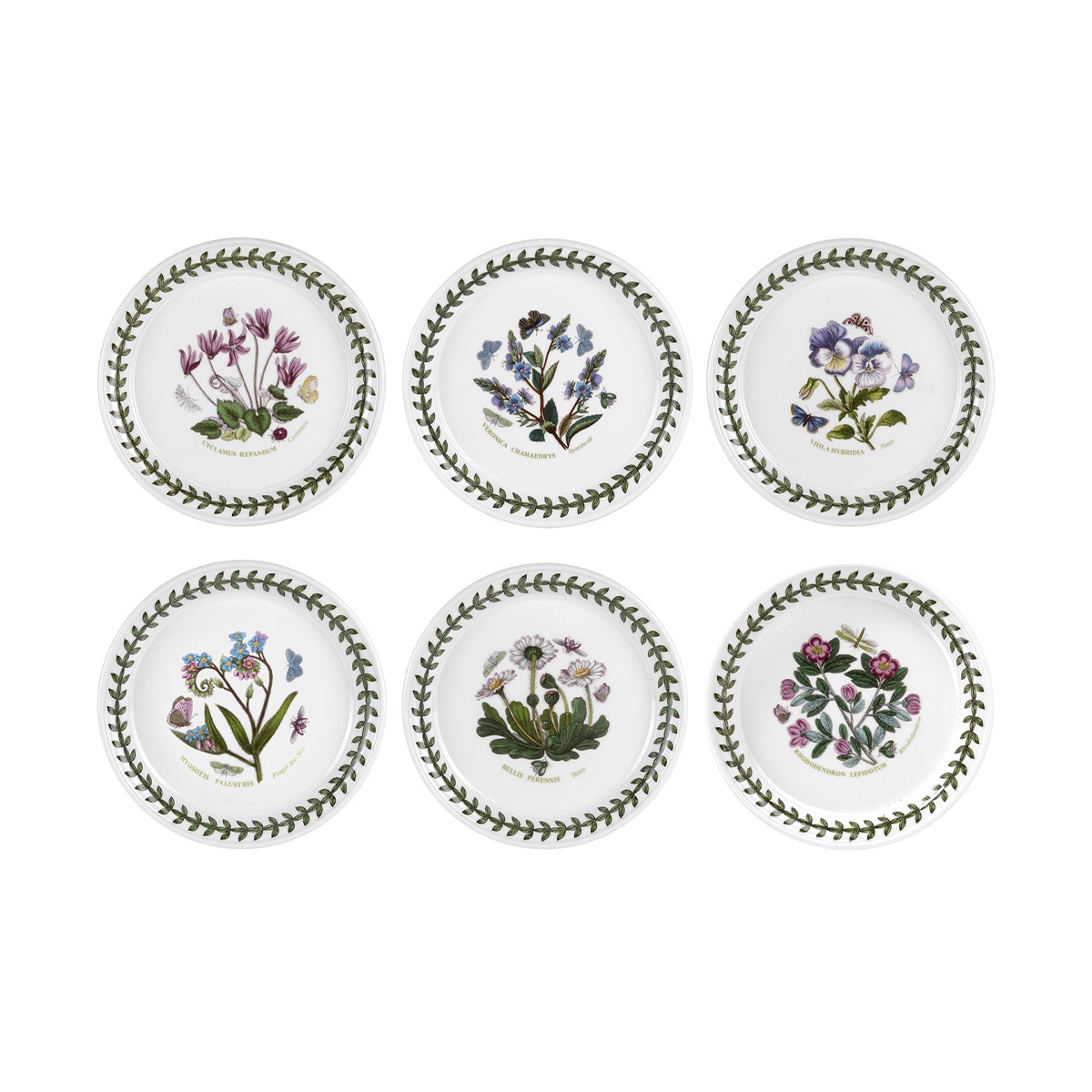 Set de 6 platos de pan de porcelana 16,5 cm Botanic Garden Promoción