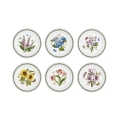 Juego de 6 platos de porcelana Portmeirion Botanic Garden de 25 cm Promoción
