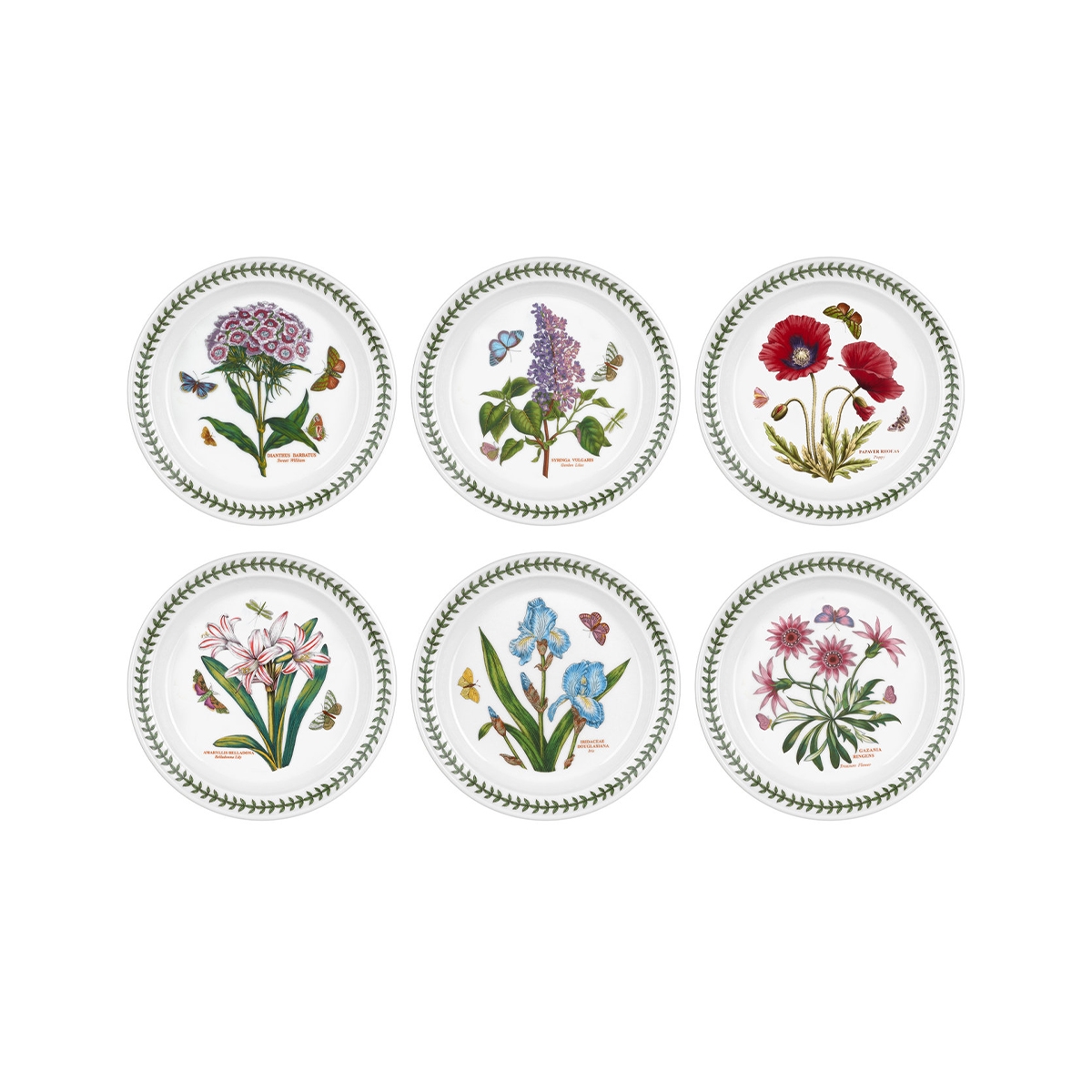 Juego de 6 platos llanos de 20 cm en porcelana Portmeirion Botanic Garden Promoción