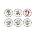Juego de 6 platos llanos de 20 cm en porcelana Portmeirion Botanic Garden Promoción