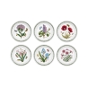 Juego de 6 platos llanos de 20 cm en porcelana Portmeirion Botanic Garden Promoción