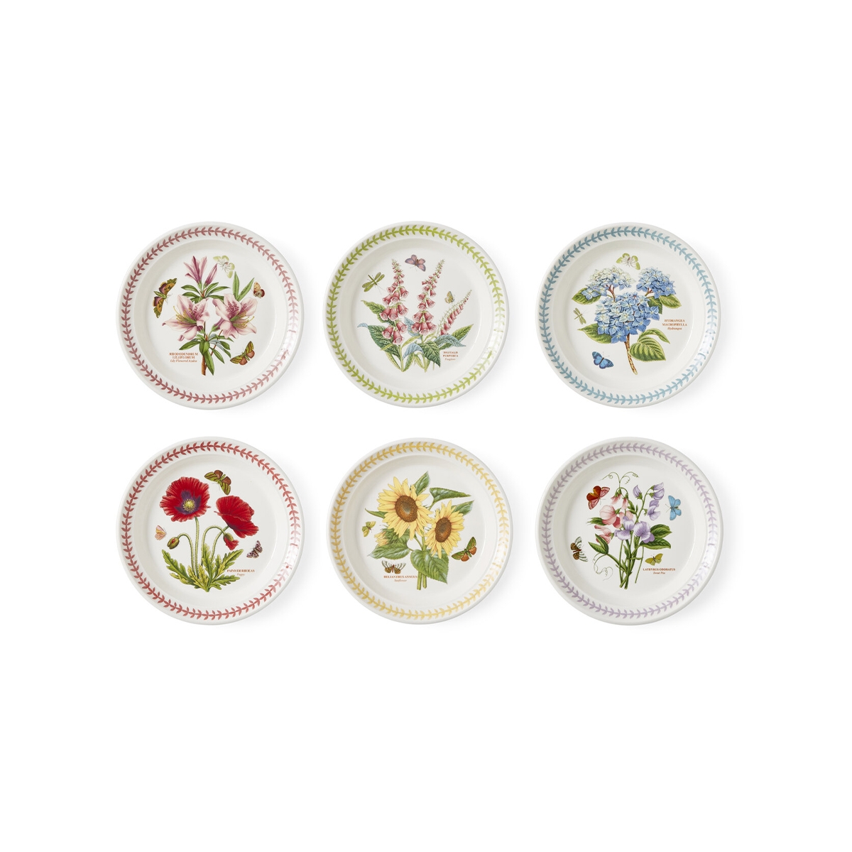 Juego de 6 platos pequeños 21,5 cm Portmeirion Botanic Garden Meadow Promoción