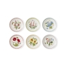 Juego de 6 platos pequeños 21,5 cm Portmeirion Botanic Garden Meadow Promoción