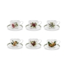 Juego de 6 tazas de té con platillo de porcelana Portmeirion Pomona Promoción