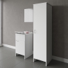 Set móvil lavadero con puerta espejo columna lavandería Negrari COMP 7 Promoción