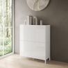 Aparador alto ahorra espacio 4 puertas diseño minimalista moderno 90x35x110 Solaria Venta