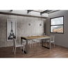 Mesa extensible 18 plazas diseño industrial 90×180-440 Tecno Evolution Stock