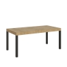 Mesa extensible industrial de metal y madera para 18 personas 90×180-440 Everyday Promoción