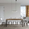 Mesa extensible industrial de metal y madera para 18 personas 90×180-440 Everyday Venta