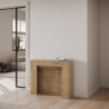 Consola extensible para entrada o comedor, capacidad para 10 personas, 90×25-211 Kiba Elección