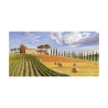 Cuadro en lienzo paisaje contemporáneo Colinas toscanas Adriano Galasso Oferta