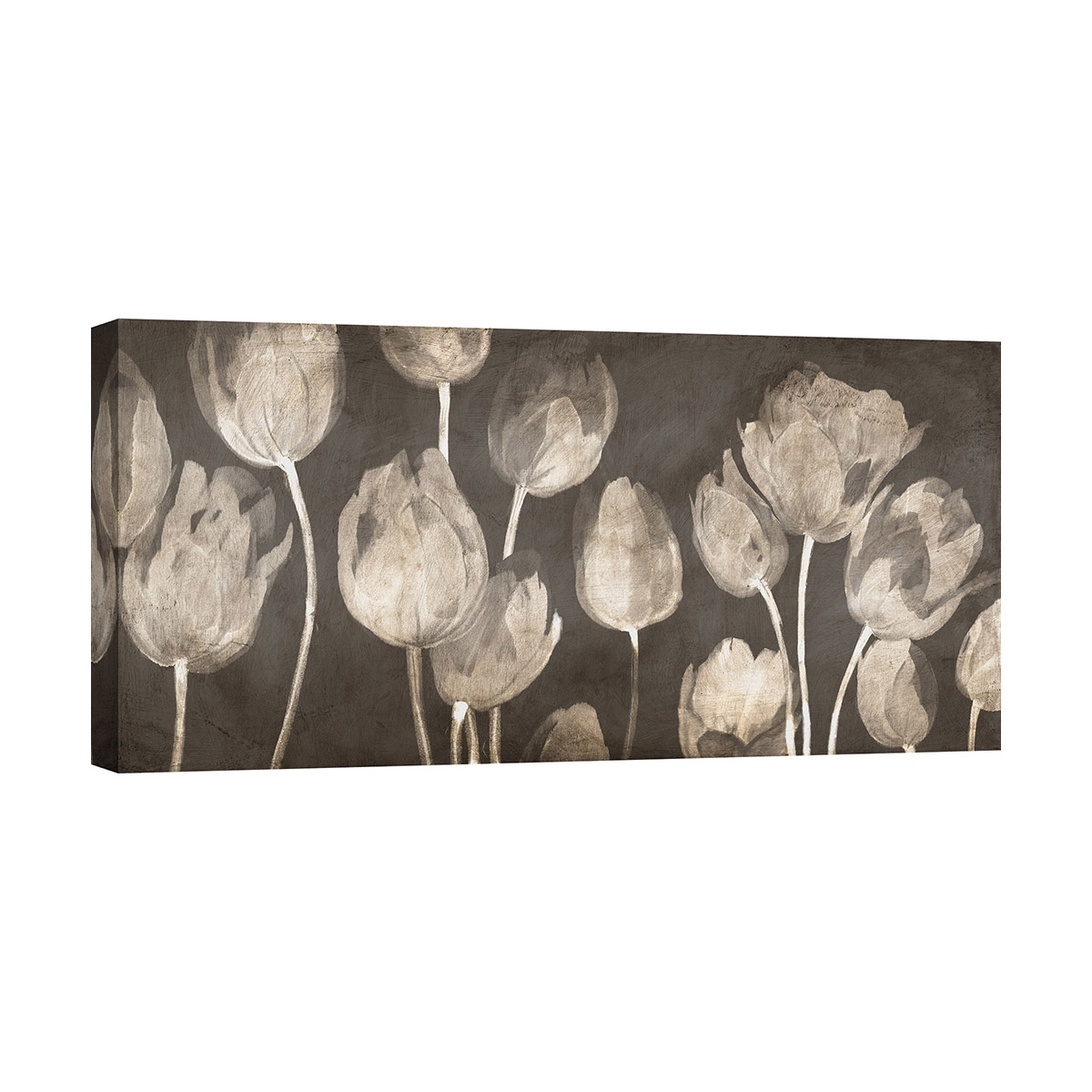 Cuadro moderno de tulipanes en lienzo Washed Tulips Luca Villa Promoción Cuadro moderno de tulipanes en lienzo Washed Tulips Luca Villa Promoción