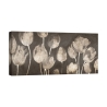 Cuadro moderno de tulipanes en lienzo Washed Tulips Luca Villa Promoción