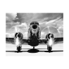 Cuadro impresión en lienzo blanco y negro avión vintage Airplane taking off Oferta