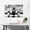 Cuadro impresión en lienzo blanco y negro avión vintage Airplane taking off Rebajas