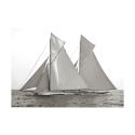 Impresión en blanco y negro sobre lienzo barco de vela Columbia & Shamrock 1901 Oferta