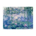 Cuadro impresión impresionista en lienzo canvas Waterlilies Claude Monet Oferta