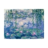Cuadro impresión impresionista en lienzo canvas Waterlilies Claude Monet Oferta
