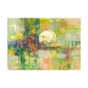 Cuadro abstracto impresión moderna en lienzo Luna llena Lucas Oferta