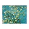 Impresionismo en lienzo "Mandorlo en flor" por Vincent van Gogh Oferta