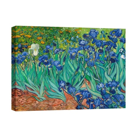 Impresión en lienzo cuadro impresionista Iris Vincent van Gogh Promoción
