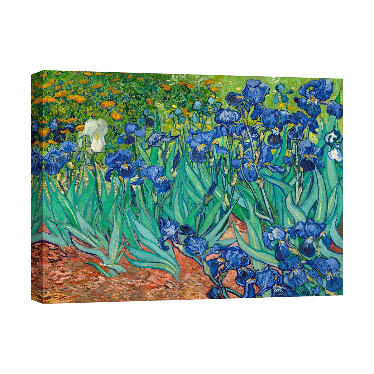 Impresión en lienzo cuadro impresionista Iris Vincent van Gogh Promoción Impresión en lienzo cuadro impresionista Iris Vincent van Gogh Promoción