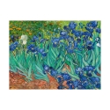Impresión en lienzo cuadro impresionista Iris Vincent van Gogh Oferta