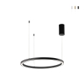 Lámpara colgante LED diseño redondo minimalista 80cm Hoop Promoción