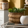 Maceta para plantas y flores de interior en porcelana blanca Ø13xh11cm Althea Venta