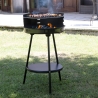Barbacoa de carbón con parrilla ajustable redonda Ø 38cm Grato Oferta