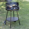 Barbacoa de carbón redonda Pipra con parrilla Ø 48cm ajustable y ruedas Venta