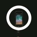 Aro de luz LED para selfies con soporte para smartphone Fira Venta