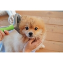 Cepillo autolimpiante para mascotas removedor de pelo Lima Oferta