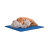 Alfombrilla refrescante mediana para mascotas 50x40cm Puppy Rebajas