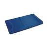 Alfombrilla refrescante pequeña de gel para mascotas 30x40cm Puppy Descueto