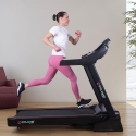 Cinta de correr eléctrica plegable profesional con inclinación Everest Venta