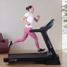 Cinta de correr eléctrica plegable profesional con inclinación Everest Venta