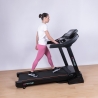 Cinta de correr eléctrica plegable profesional con inclinación Everest 