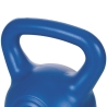 Kettlebell antideslizante 8 Kg para ejercicios de entrenamiento y sentadillas Jarek Rebajas