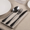 Juego de 16/24 cubiertos en acero inoxidable plateado brillante Inglese Venta