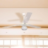 Ventilador de techo con luz 3 aspas 5 velocidades Windy Venta