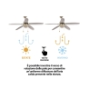 Ventilador de techo con luz, 5 aspas, función inversa Windy Rebajas
