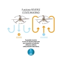 Ventilador de techo con luz, 5 aspas, función inversa Windy Descueto